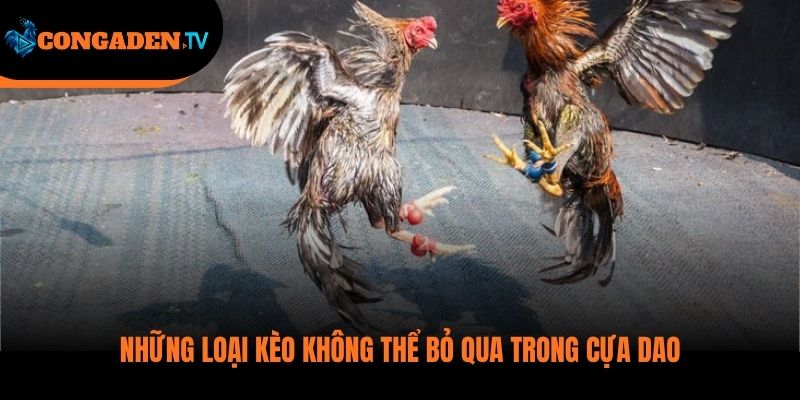 đá gà cựa dao