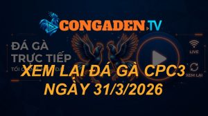 XEM LẠI ĐÁ GÀ CPC3 NGÀY 31/3/26