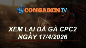 XEM LẠI ĐÁ GÀ CPC2 NGÀY 17/4/26