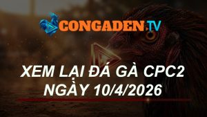 XEM LẠI ĐÁ GÀ CPC2 NGÀY 10/4/26