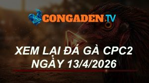 XEM LẠI ĐÁ GÀ CPC2 NGÀY 13/4/26