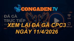 XEM LẠI ĐÁ GÀ CPC3 NGÀY 11/4/26