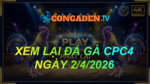 XEM LẠI ĐÁ GÀ CPC4 NGÀY 2/4/26