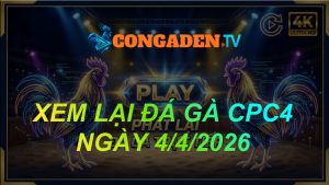 XEM LẠI ĐÁ GÀ CPC4 NGÀY 4/4/26