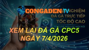 XEM LẠI ĐÁ GÀ CPC5 NGÀY 7/4/26