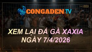 XEM LẠI ĐÁ GÀ XAXIA NGÀY 7/4/26