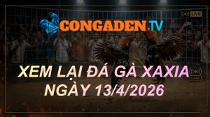 XEM LẠI ĐÁ GÀ XAXIA NGÀY 13/4/26